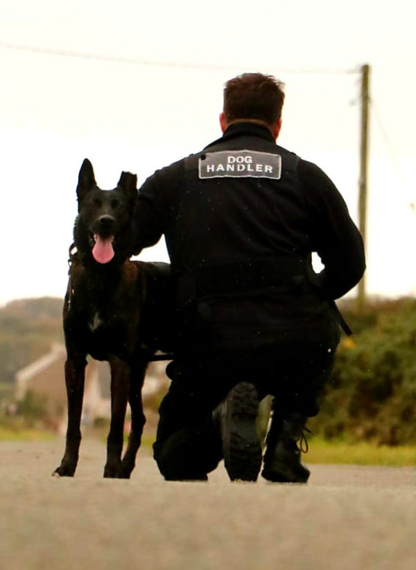 Security Dogs Or Security Guards? How To Know Which Is Best For Your