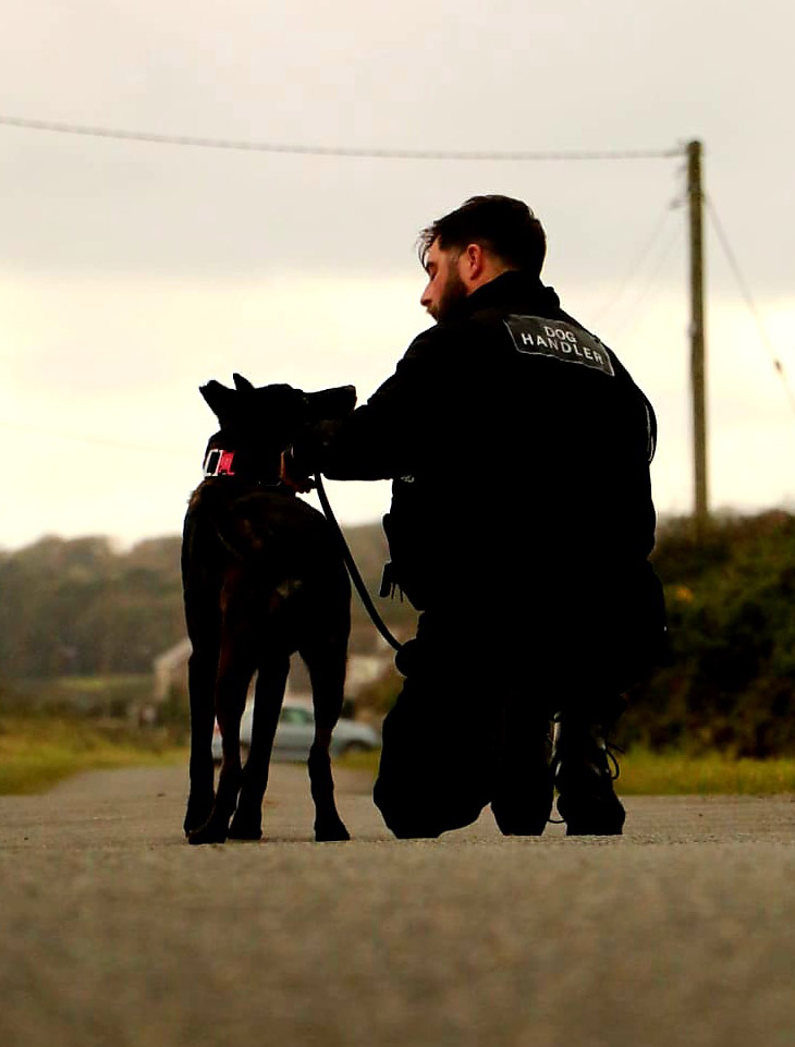 security dog handler