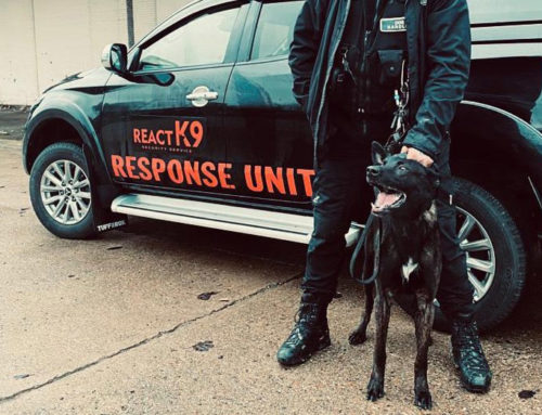 3 Reasons Why A Security Dog Unit Provides Better Security Than Static Security Guards