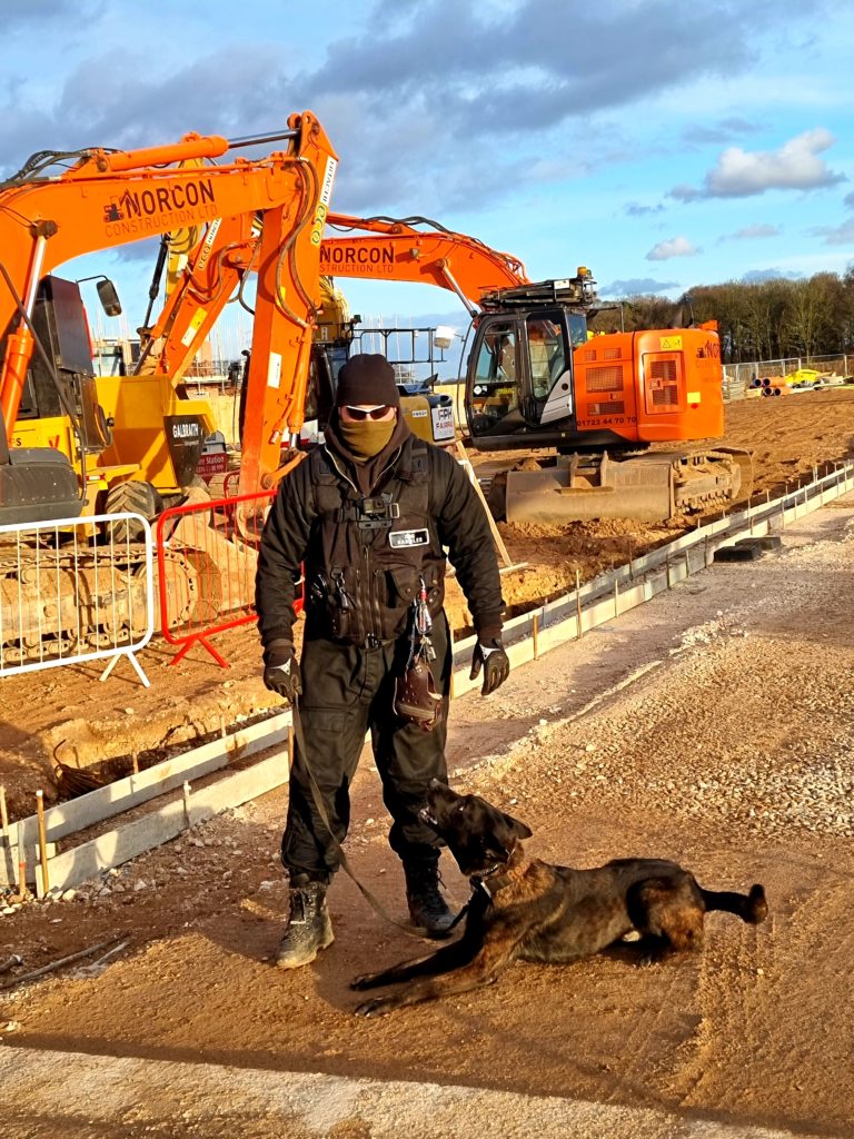 K9 construction shop