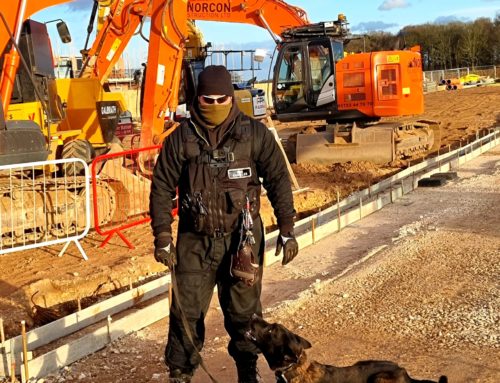 Construction Site Security Dogs – When You Might Need Them & Why They Are Important