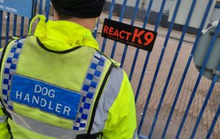 React K9 Security Dog Services 2
