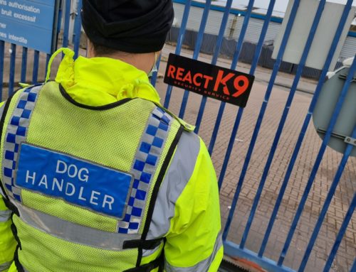 What Does It Take To Be A Qualified K9 Security Dog Handler?