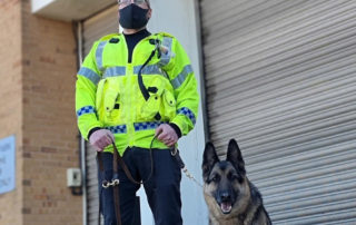 React K9 Patrol security dog services