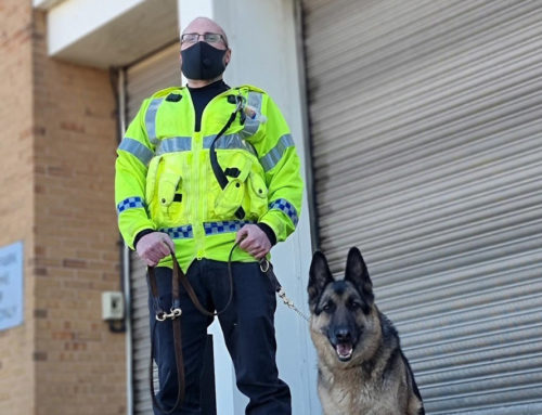 When You Need Extra Security, You Need Eviction Dog Handlers