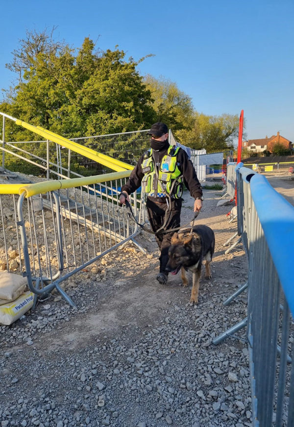 K9 construction sales
