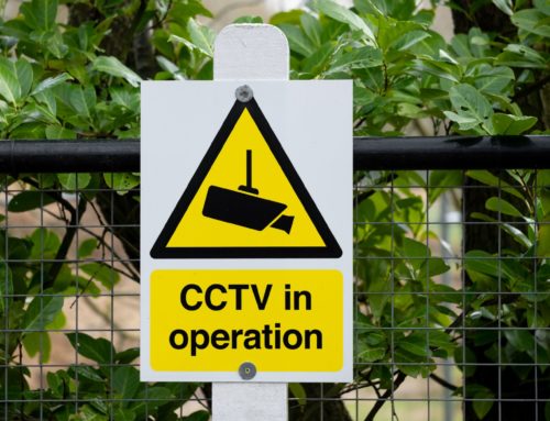 Combine Your CCTV Security With K9 Security For Extra Protection