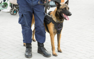 preventing anti social behaviour with security dogs