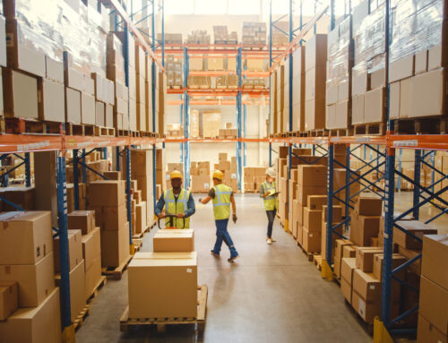 Canine Security For Logistics And Warehouses: How It Works