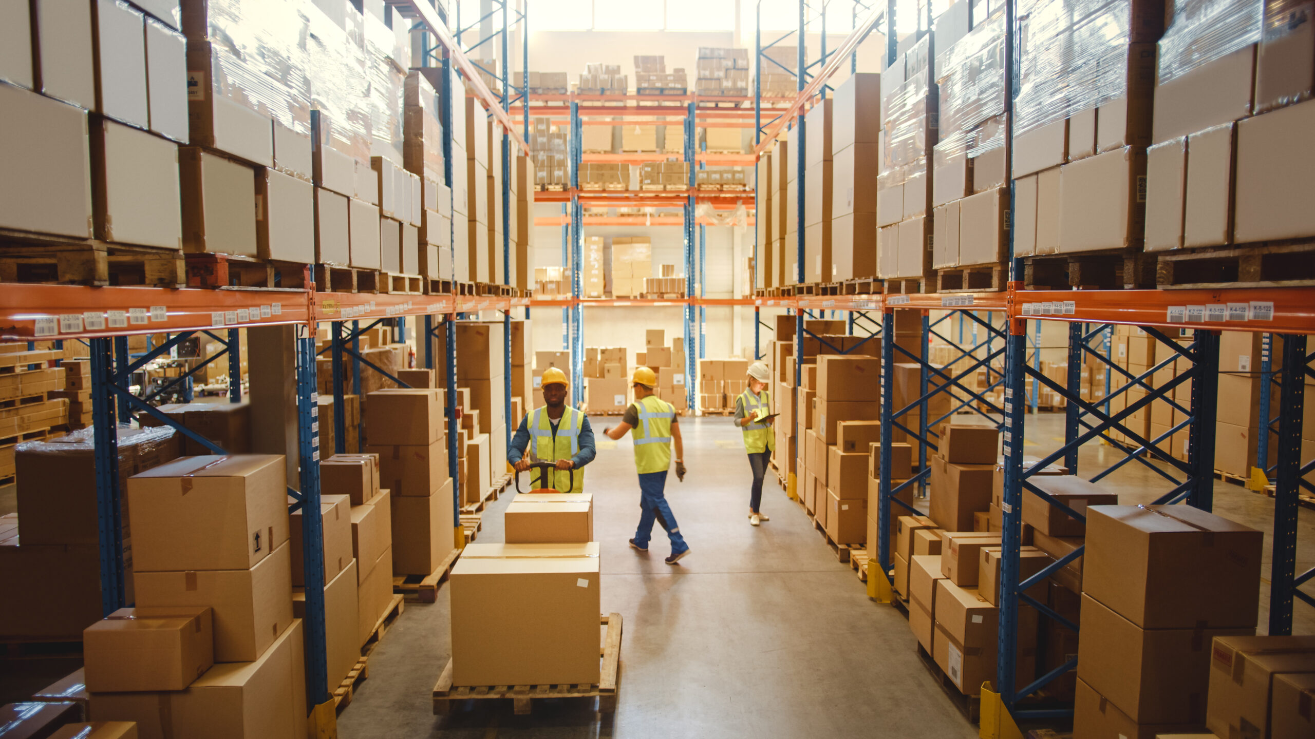 Canine security in warehousing and logistics